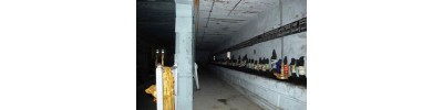 168. திருக்களர்